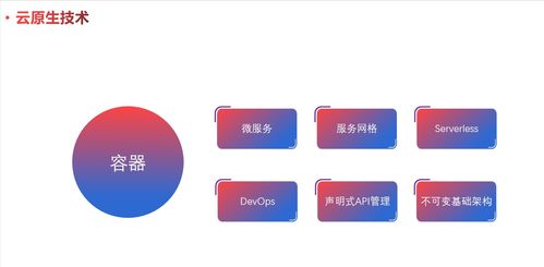 云原生模式 設計擁抱變化的軟件（一）——軟件設計與開發